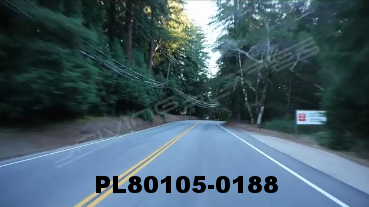 Vimeo clip HD & 4k Driving Plates Redwood Forest, CA PL80105-0188