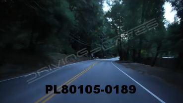 Vimeo clip HD & 4k Driving Plates Redwood Forest, CA PL80105-0189