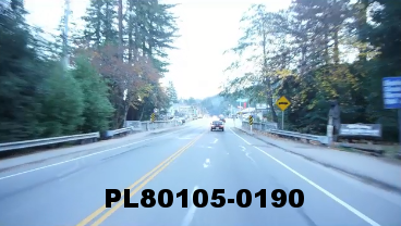 Vimeo clip HD & 4k Driving Plates Redwood Forest, CA PL80105-0190