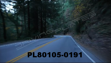 Vimeo clip HD & 4k Driving Plates Redwood Forest, CA PL80105-0191