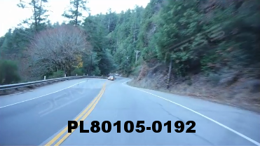 Vimeo clip HD & 4k Driving Plates Redwood Forest, CA PL80105-0192