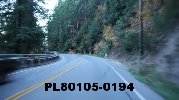 Vimeo clip HD & 4k Driving Plates Redwood Forest, CA PL80105-0194