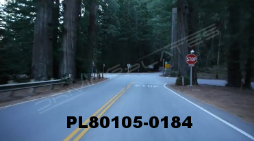 Vimeo clip HD & 4k Driving Plates Redwood Forest, CA PL80105-0184