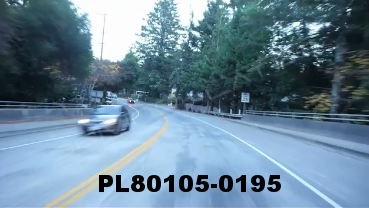 Vimeo clip HD & 4k Driving Plates Redwood Forest, CA PL80105-0195