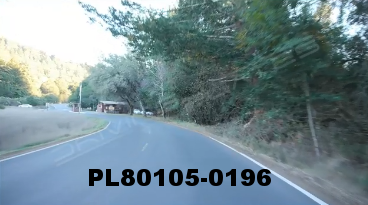 Vimeo clip HD & 4k Driving Plates Redwood Forest, CA PL80105-0196