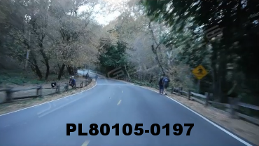 Vimeo clip HD & 4k Driving Plates Redwood Forest, CA PL80105-0197