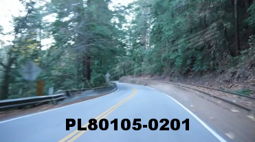 Vimeo clip HD & 4k Driving Plates Redwood Forest, CA PL80105-0201