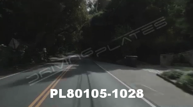 Vimeo clip HD &amp; 4k Driving Plates Redwood Forest, CA PL80105-1028