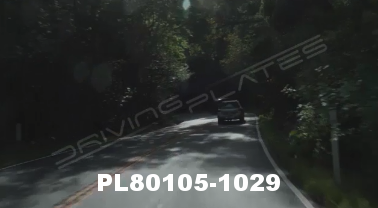 Vimeo clip HD &amp; 4k Driving Plates Redwood Forest, CA PL80105-1029