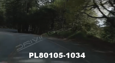 Vimeo clip HD &amp; 4k Driving Plates Redwood Forest, CA PL80105-1034