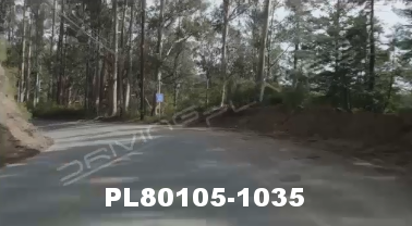 Vimeo clip HD &amp; 4k Driving Plates Redwood Forest, CA PL80105-1035