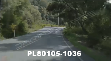 Vimeo clip HD &amp; 4k Driving Plates Redwood Forest, CA PL80105-1036