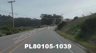 Vimeo clip HD &amp; 4k Driving Plates Redwood Forest, CA PL80105-1039