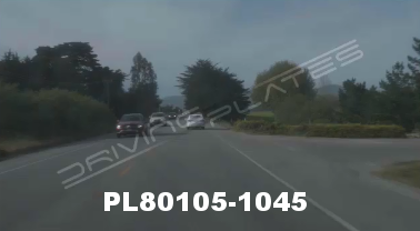Vimeo clip HD &amp; 4k Driving Plates Redwood Forest, CA PL80105-1045