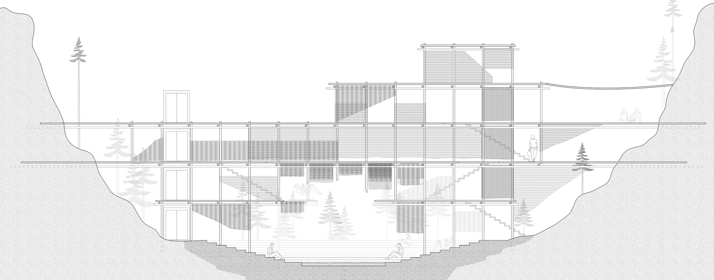 CORE 1_pavilion-section.png