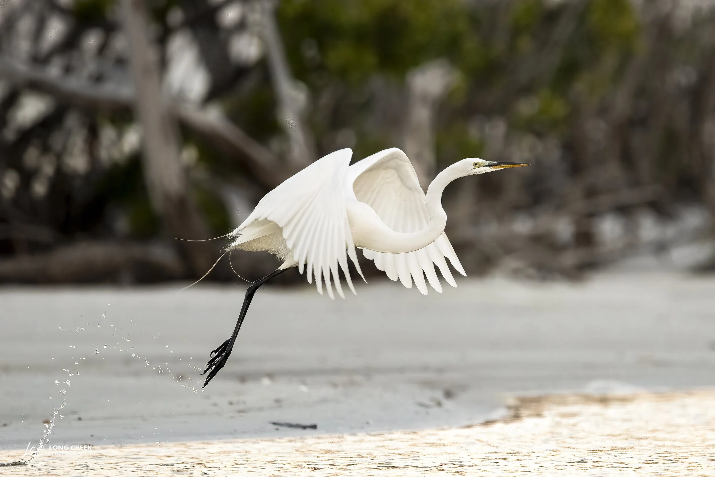 _LCP9922-Edit-Edit.jpg