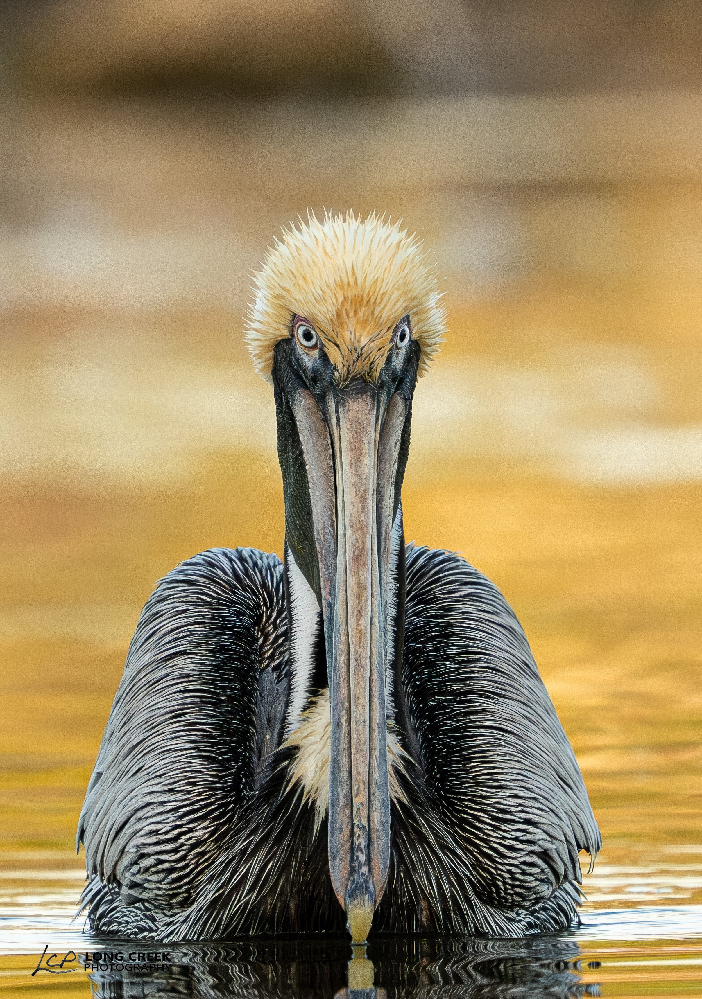 _LCP7485-Edit.jpg