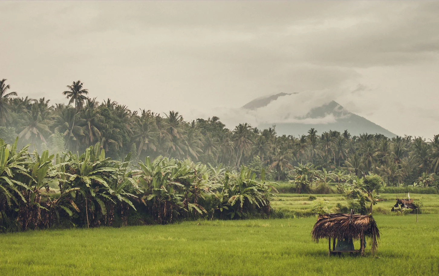 Jasri, Indonesia, 2017