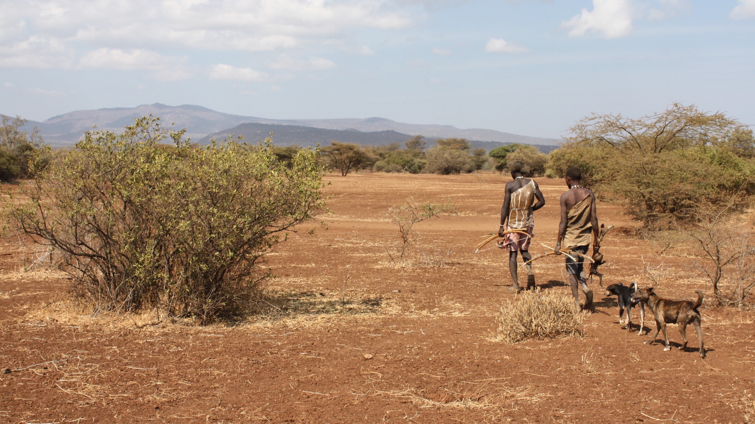 Pedestrians: Hadazbe tribespeople, returning from a hunt. Image: Wikimedia