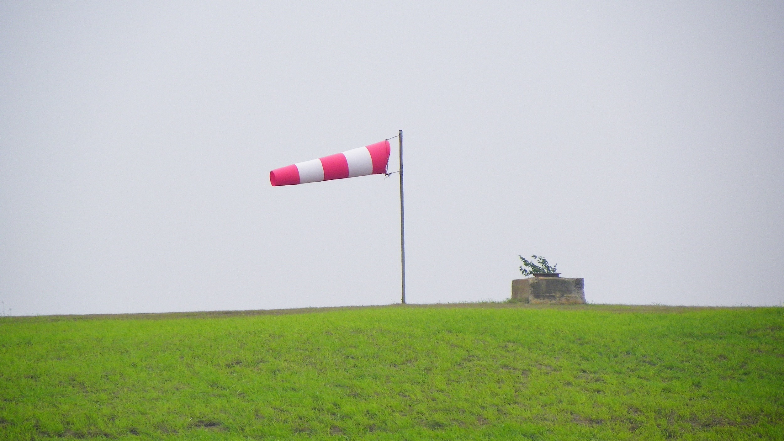 Windsock Image: Wikimedia