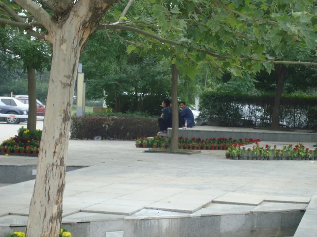 DSC01358.jpg