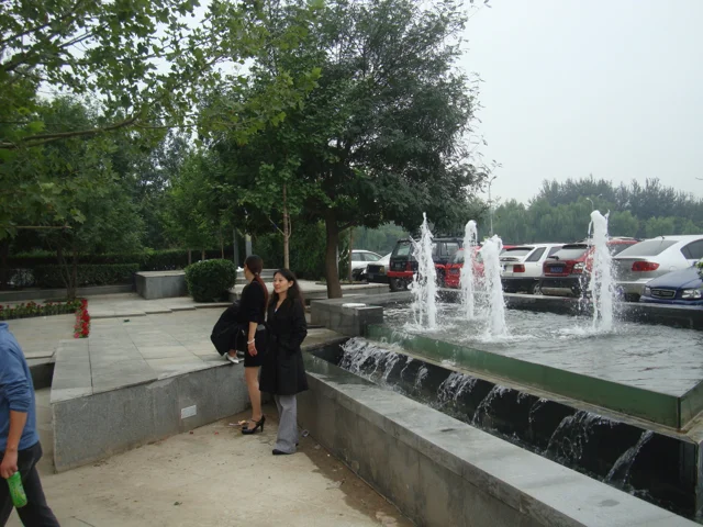 DSC01356.jpg