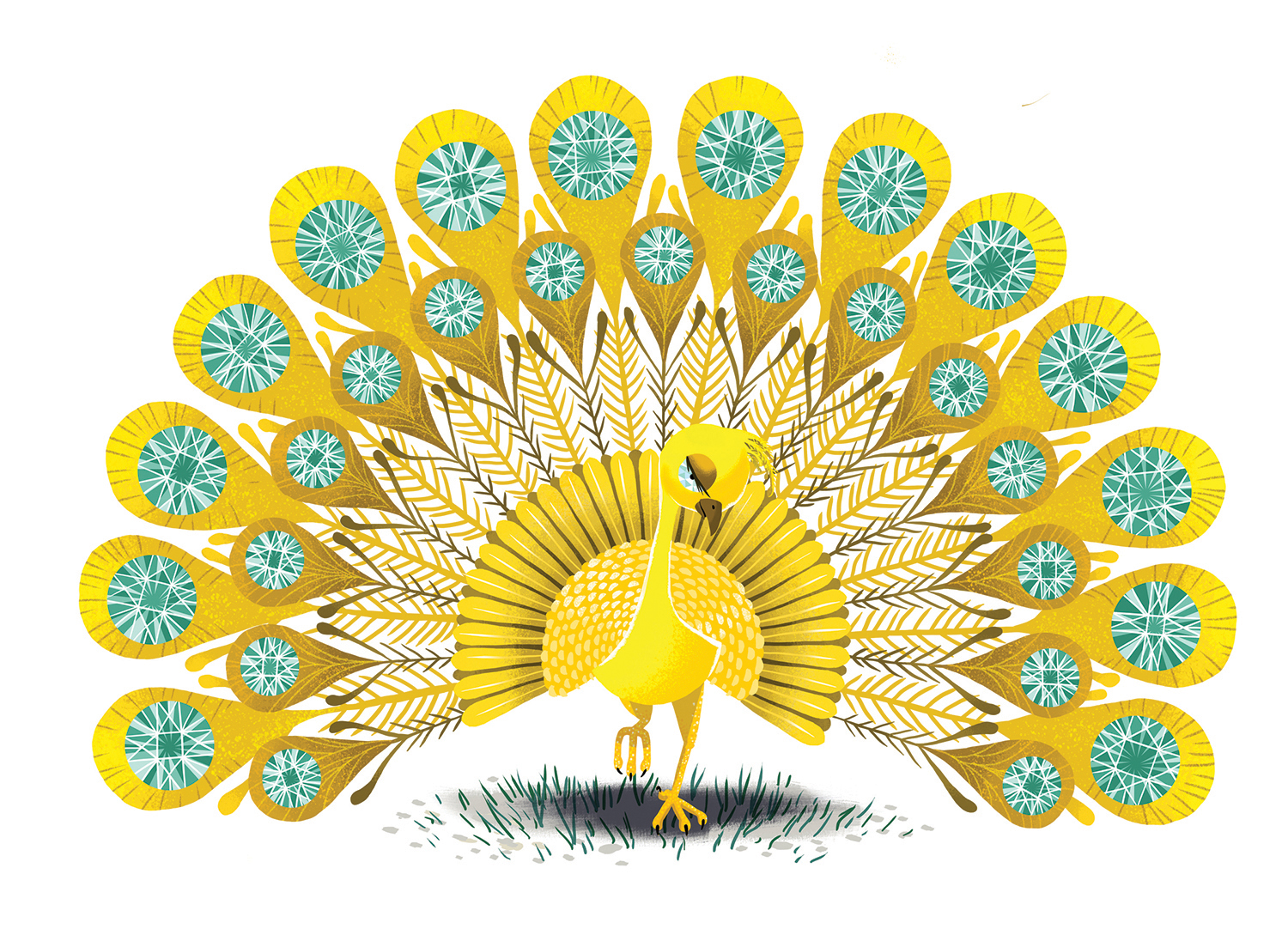 Golden Peacock