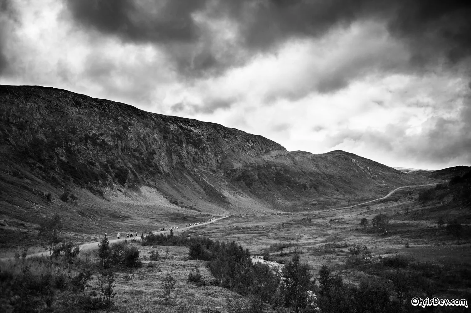 20130813-_EDK9017-Web.jpg
