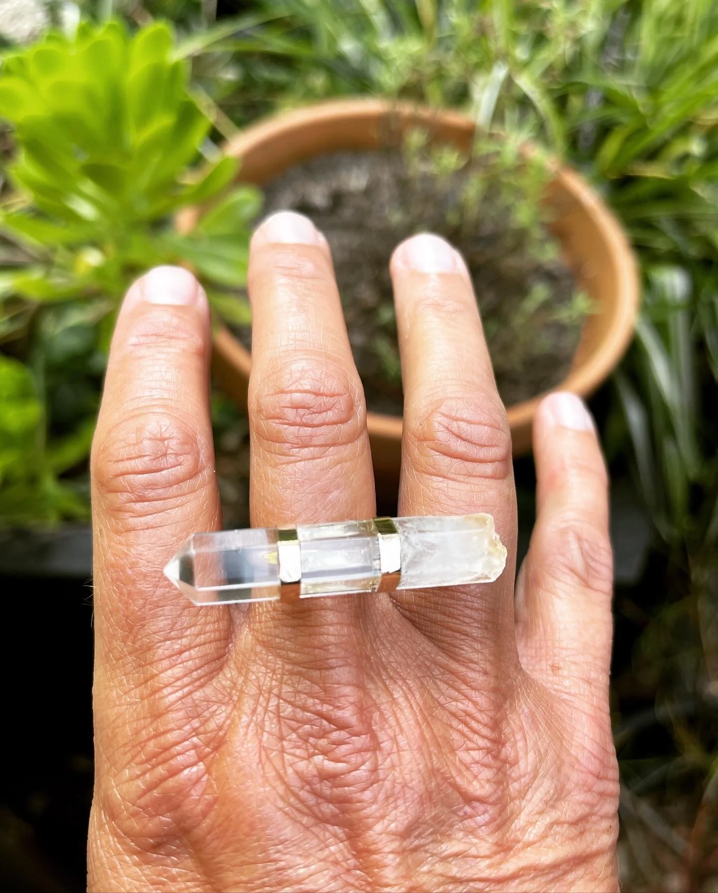 C4499A29-FCA4-498C-9343-6B353FF74335