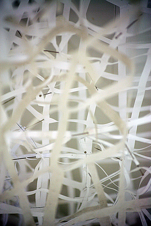 scaffolding 6 web.jpg
