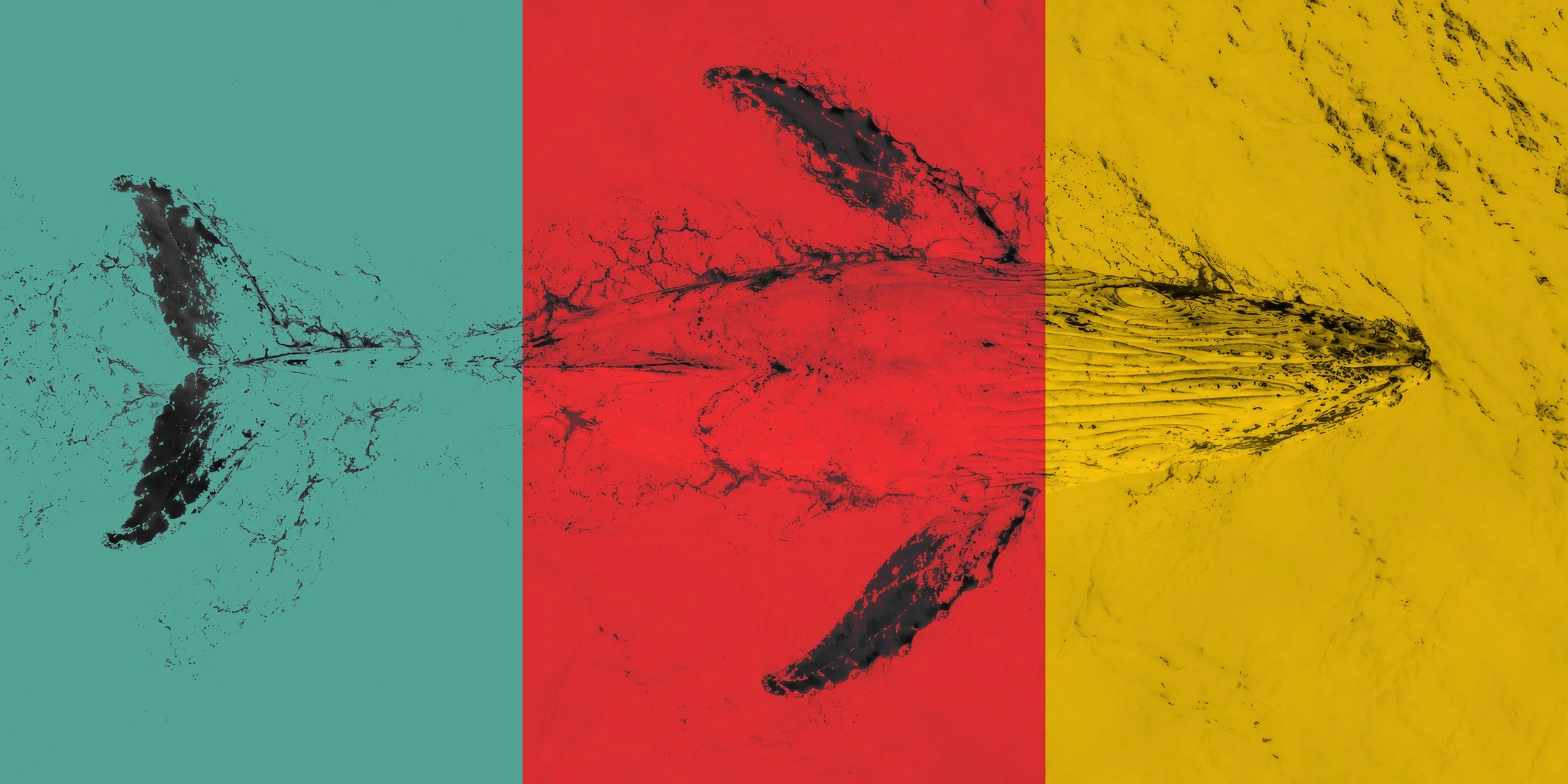 Aerial view of a whale swimming in the ocean, divided into teal, red, and yellow panels inspired by the Bigcolors brand palette.