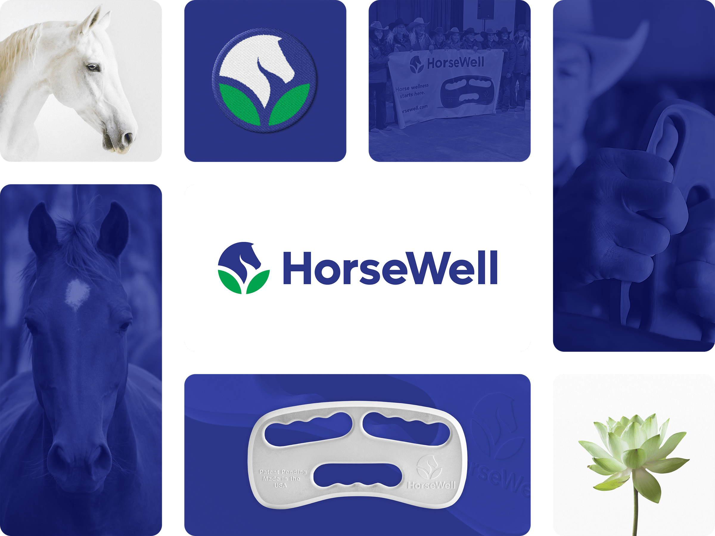 HorseWell  - Logo Design