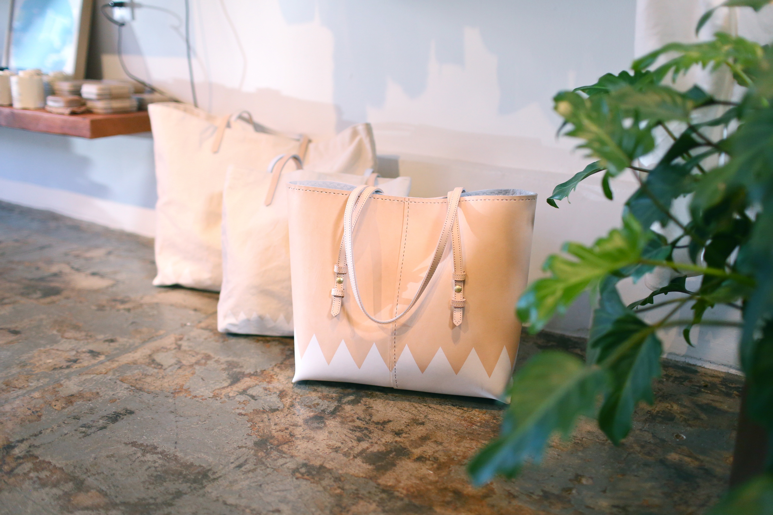 Spring/Summer 2014 structured tote + canvas totes