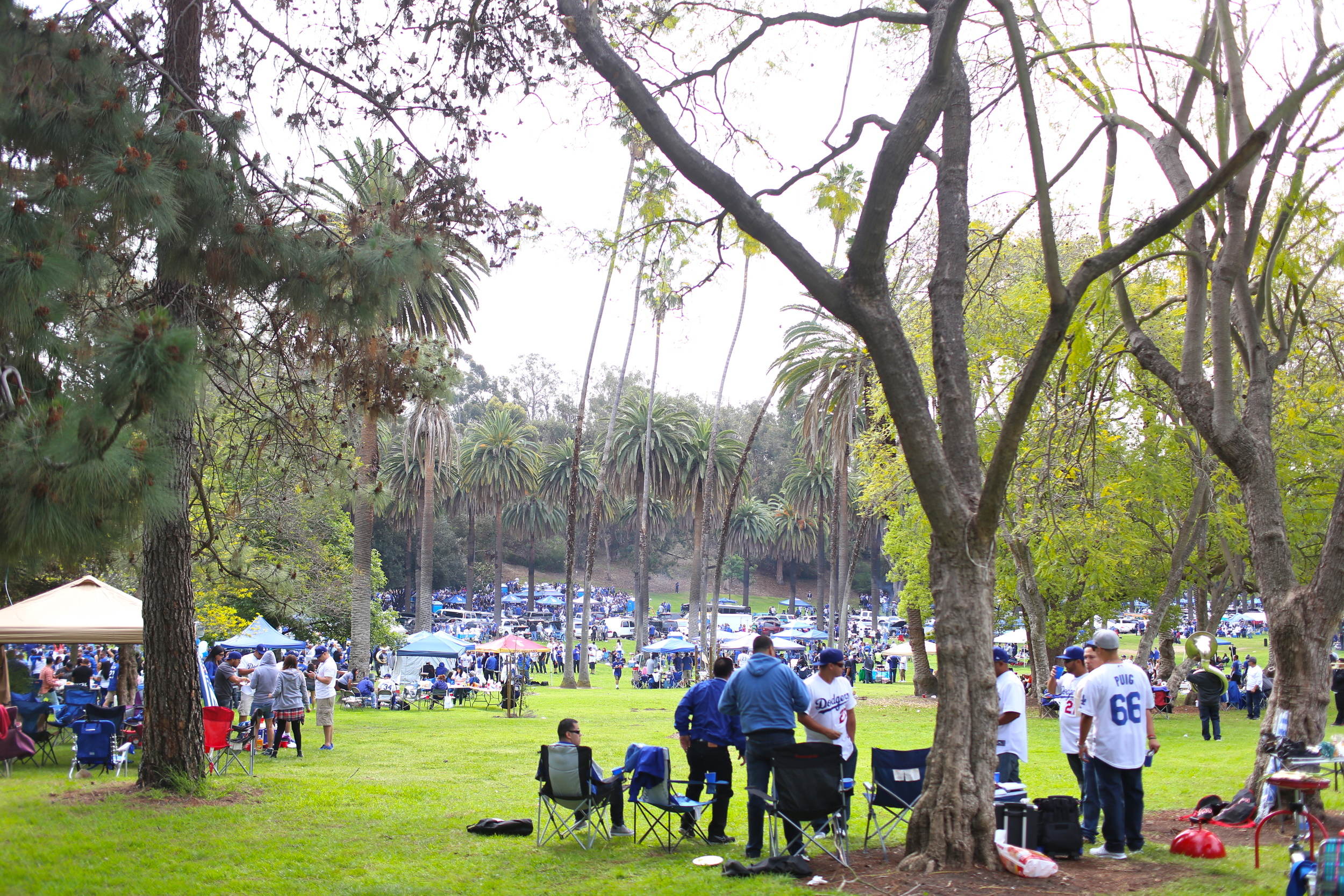 The park was PACKED.