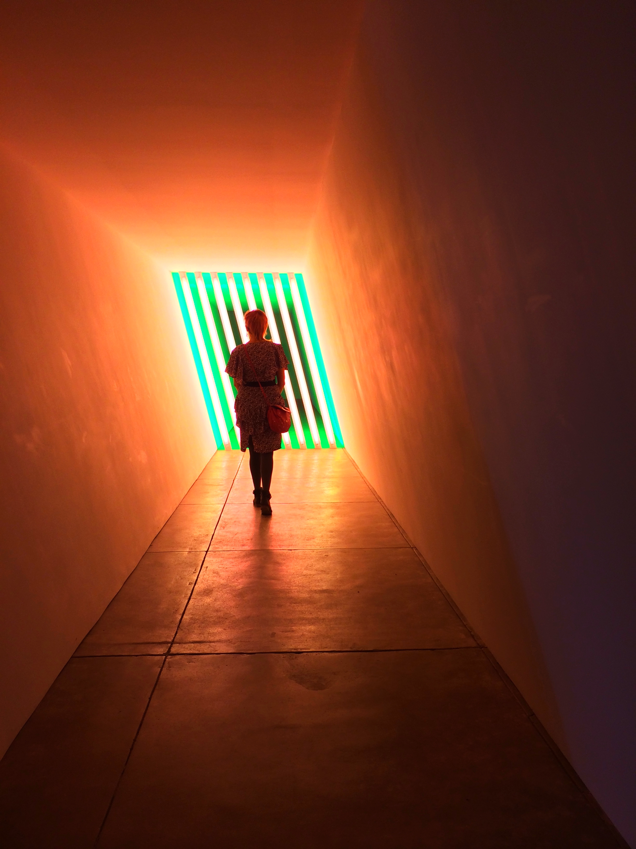  Dan Flavin