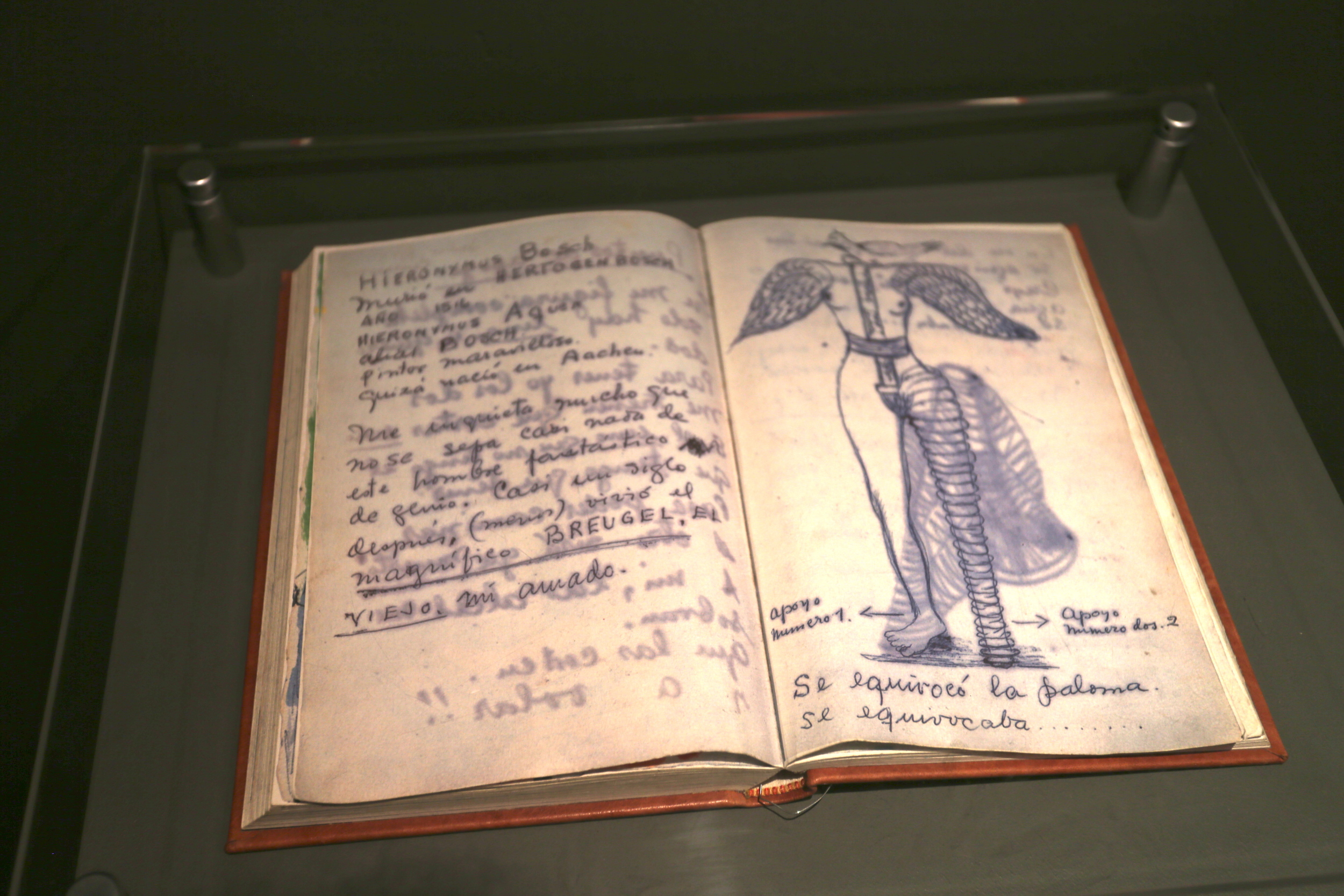 Frida's journal.
