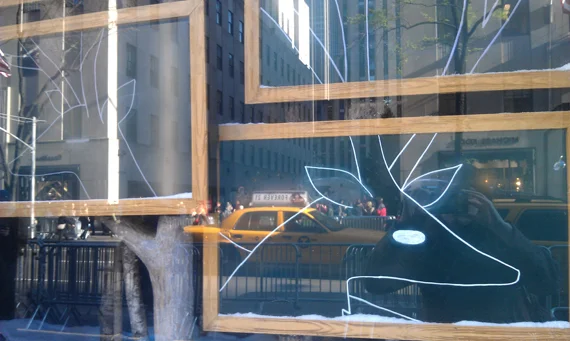NYWindow_11.jpg