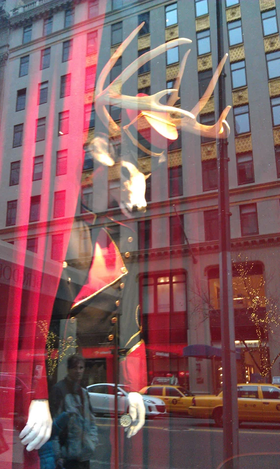 NYWindow_02.jpg