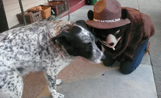 Comparing noses with other creatures from the city forest.