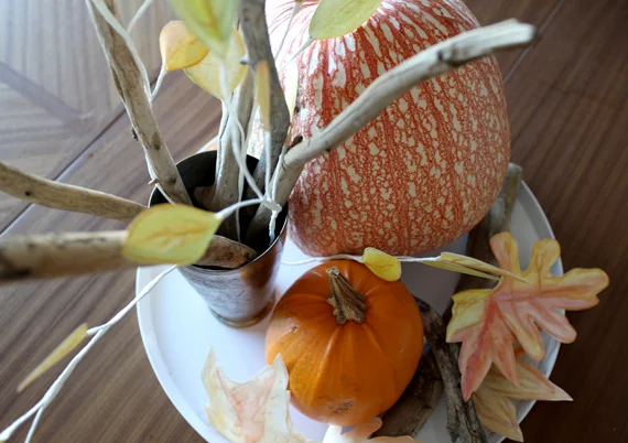 Fall_1983.jpg