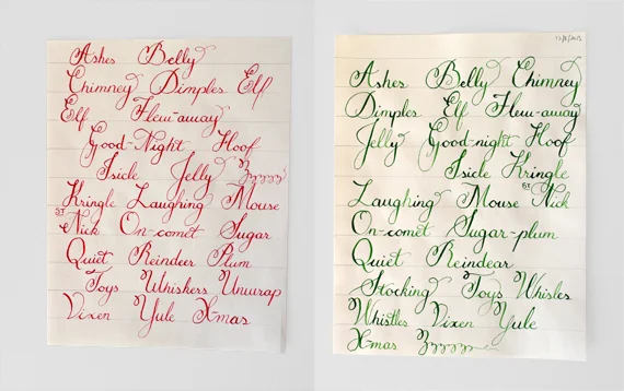 Red ink on the left is a fountain pen ink by Winsor & Newton. The green on the right is an India Ink by Dr.PH.Martin's. I preferred working with the red because it held a consistent saturation as it flowed from the nib.