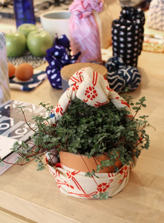 Impromptu wrapping using twisting and knotting. This might be sturdy enough to carry a smaller object. Perhaps a special way to present a garden clipping.