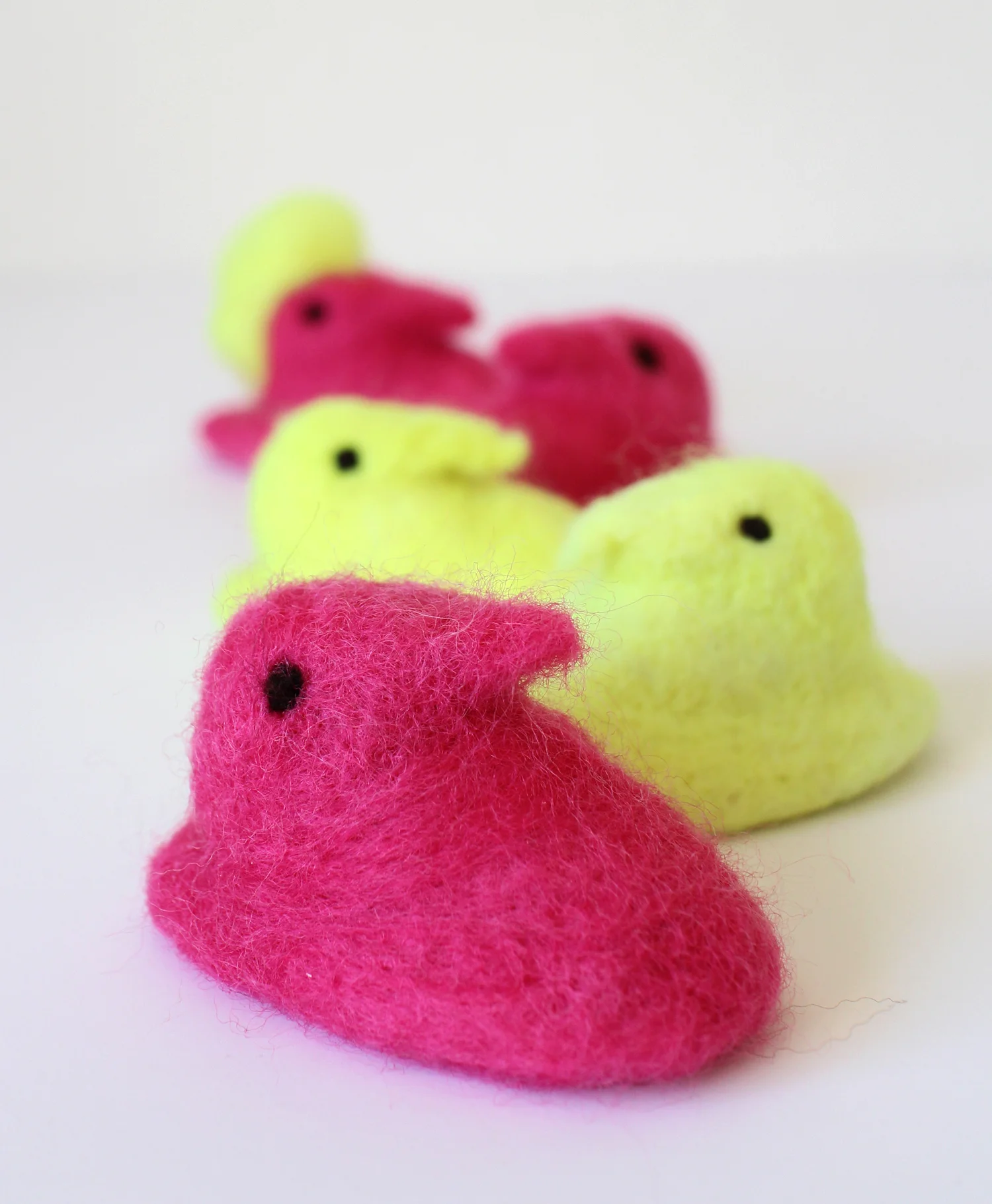 The full peep lineup