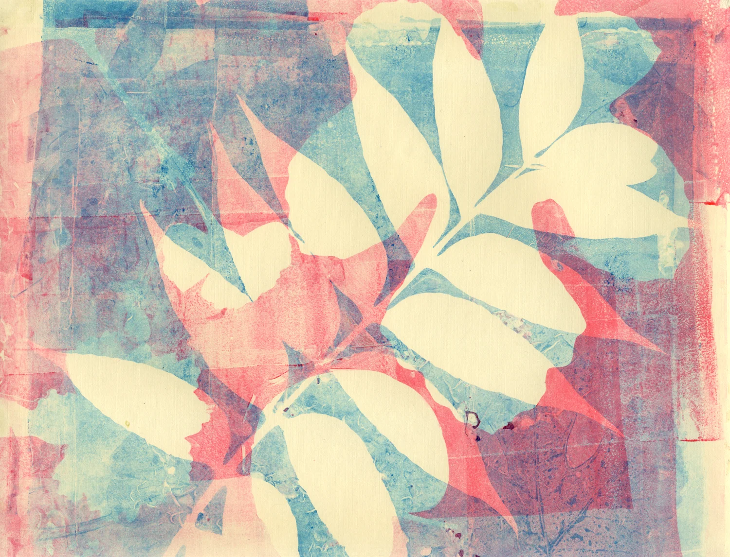 One of my first prints using cuttings from my parents garden.