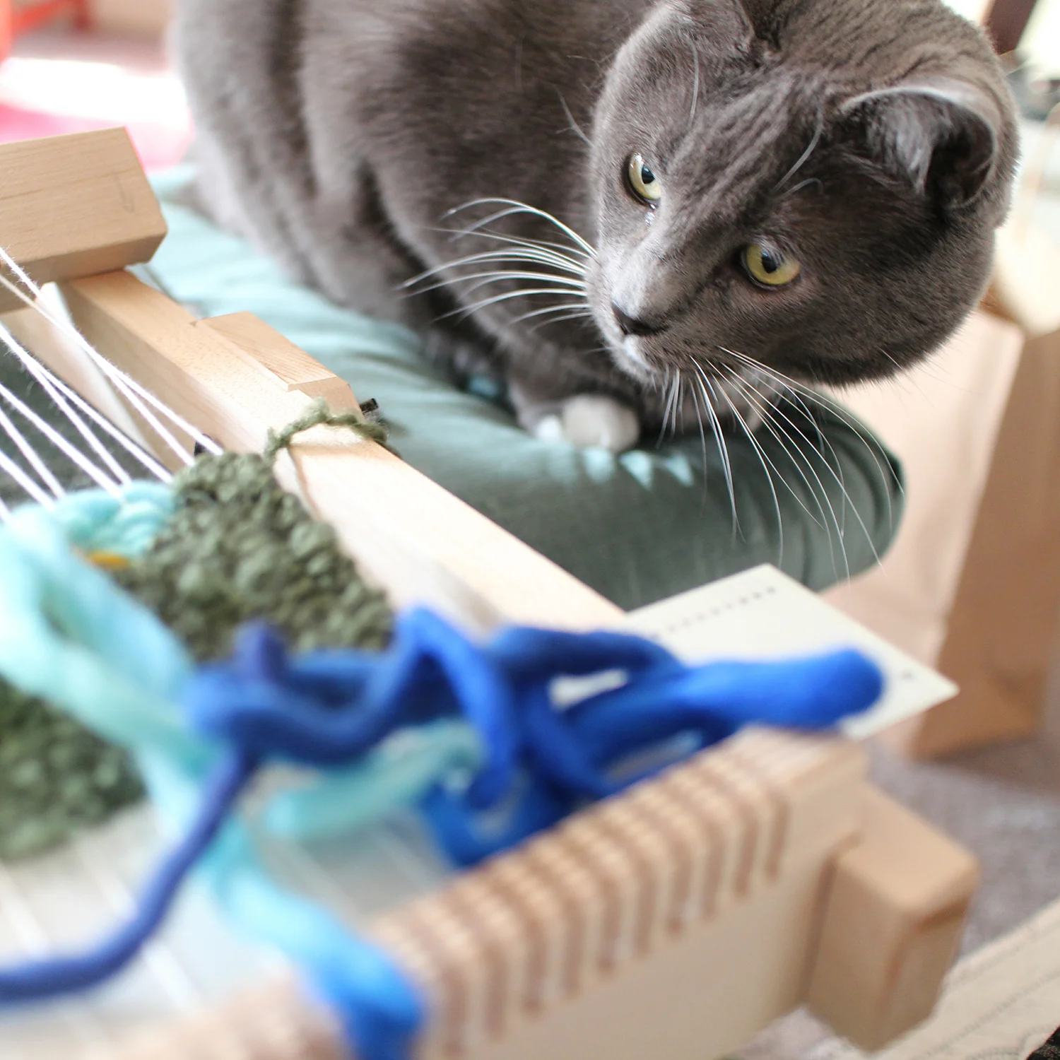 My cat helping with the weaving process.