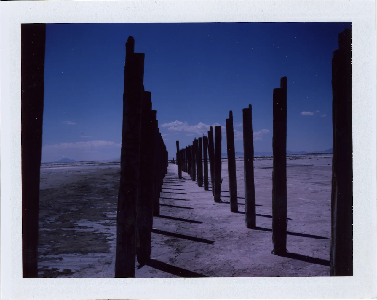 Polaroid-1.jpg