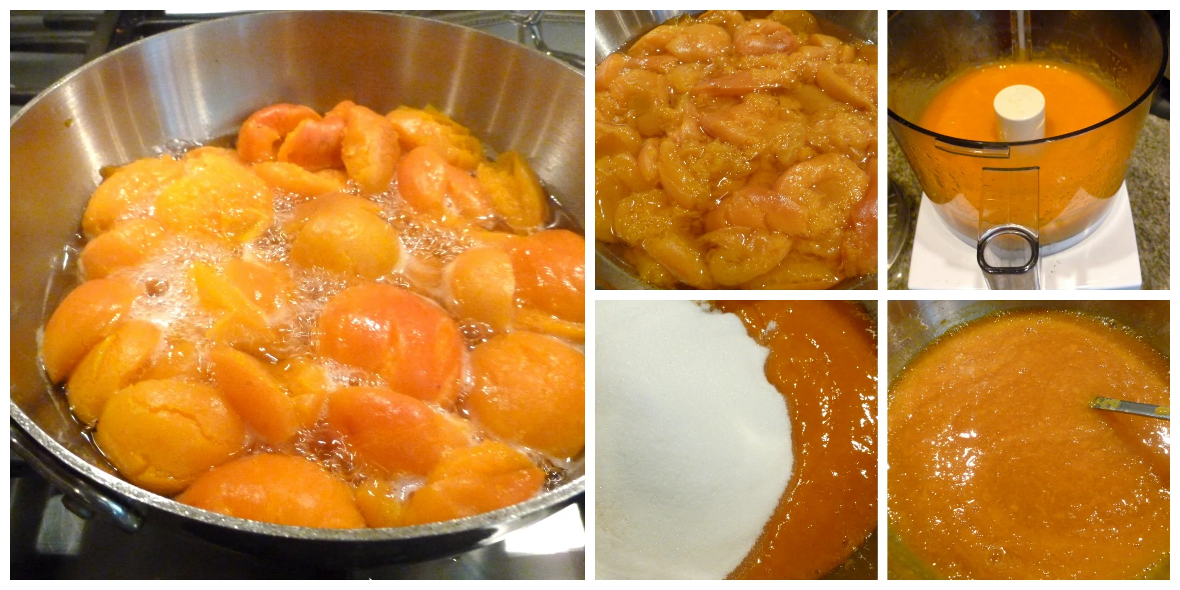 Halved apricots cooked until very tender, pureed, mixed with sugar, the cooked till thickened.