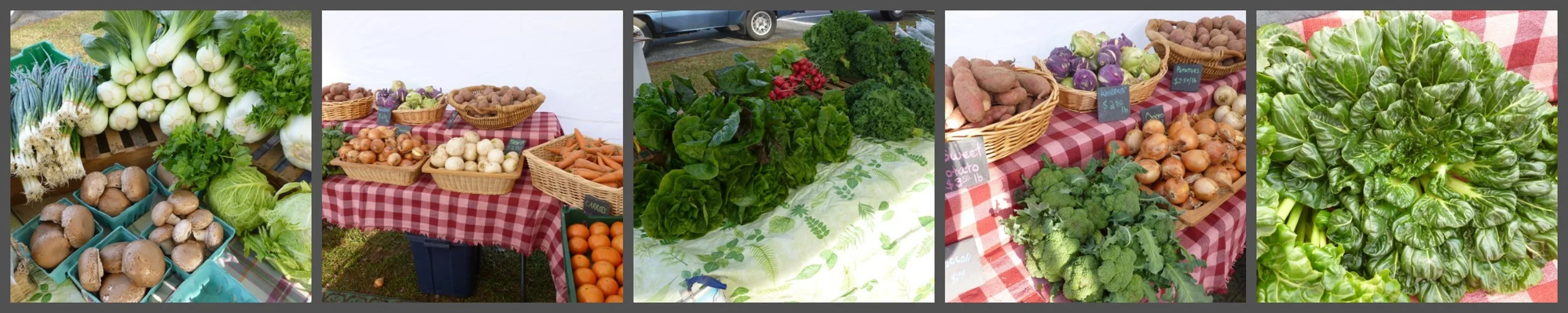 veggies.jpg