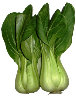 Bok Choy