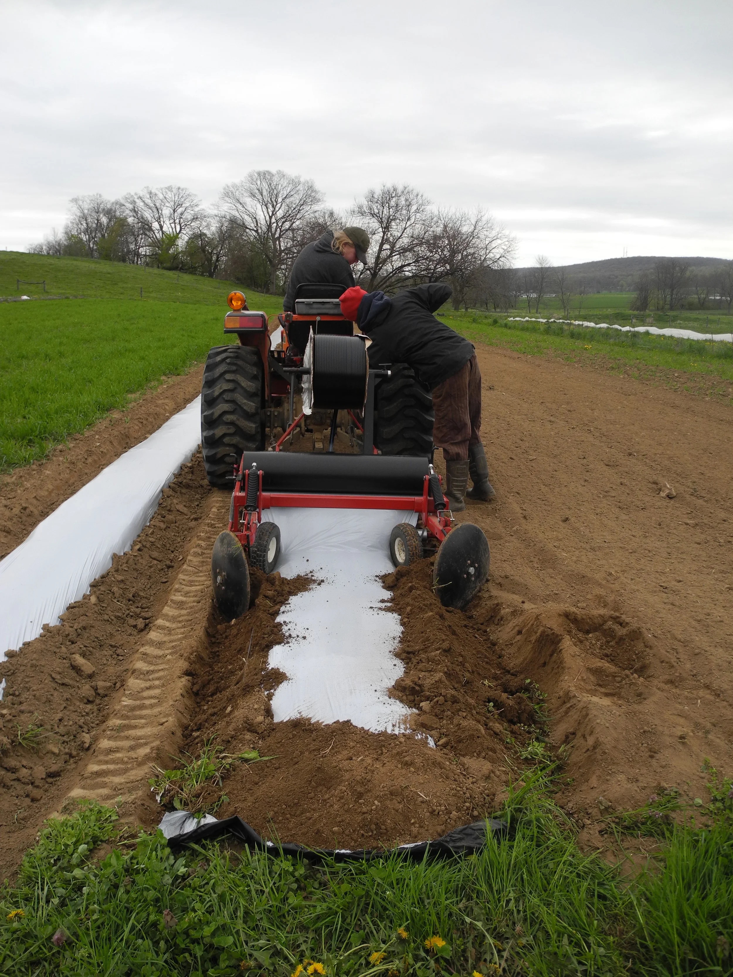 Bumps and repairs along their farming journey at B&H Organic Produce